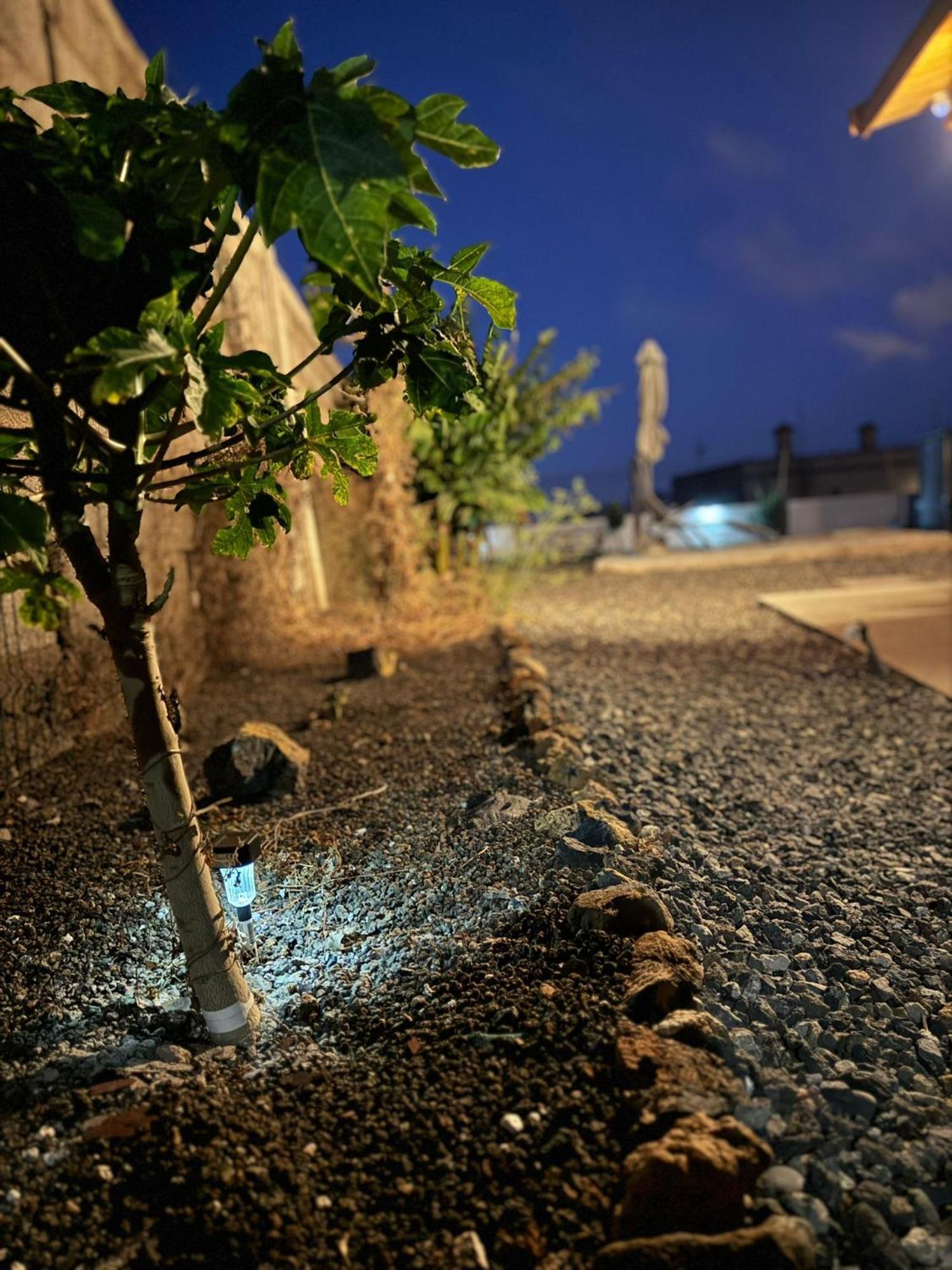 סנטה קרוז דה טנריף Finca El Atardecer מראה חיצוני תמונה